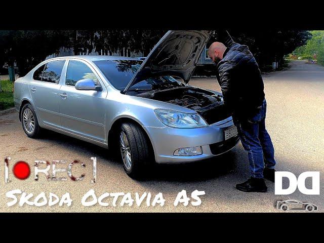 Обзор Skoda Octavia A5