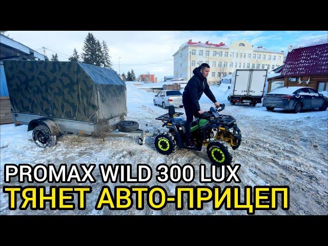 Квадроцикл PROMAX WILD 300 LUX тянет автомобильный прицеп!