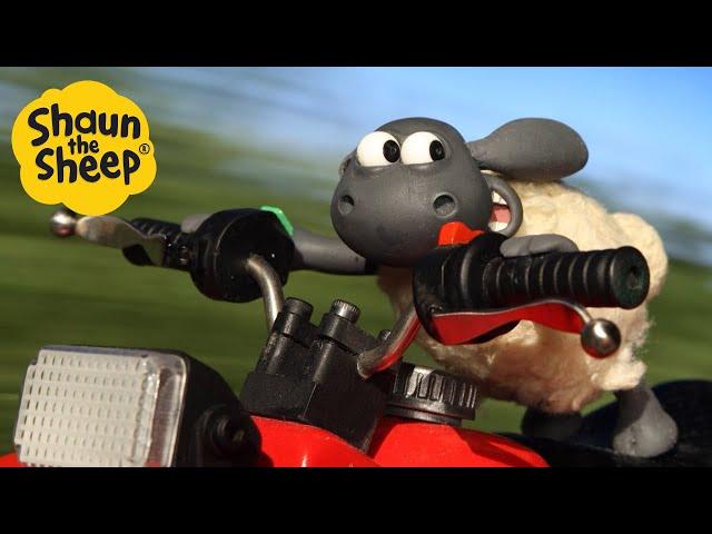 Shaun the Sheep  Quad Bike Timmy! - Cartoons for Kids  Full Episodes Compilation [1 hour]