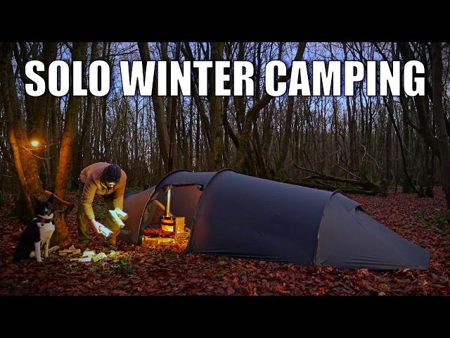 Cold Weather Camping with My Dog - Using a Wood Stove