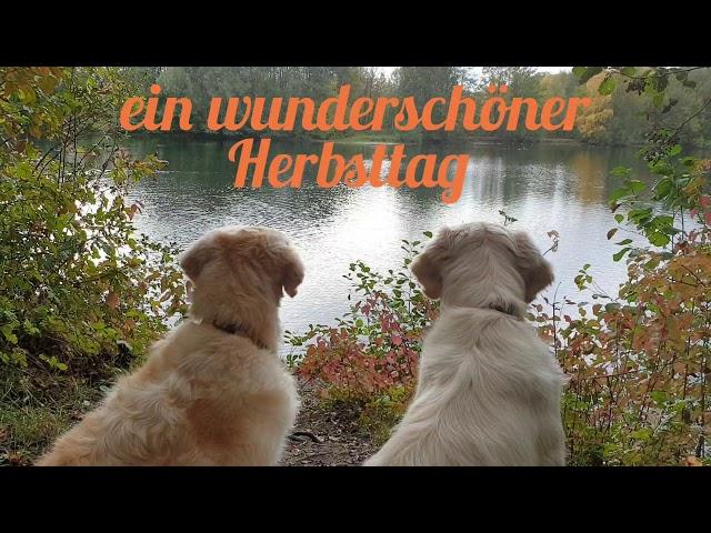 Herbsttag am Badesee mit Miles & Holly