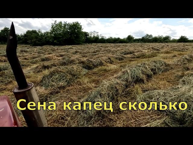 ЦЕНА СЕНА.  Хорошо иметь домик в деревне.