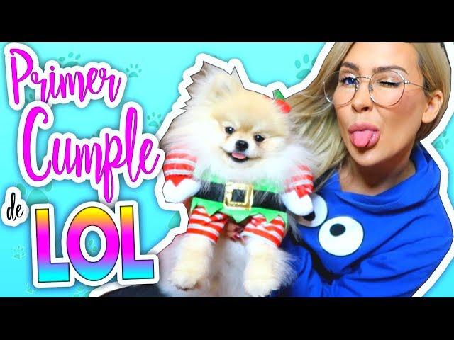 El Primer Cumpleaños de Mr LOL  | SORPRENDO A MI CACHORRO | Lizy P