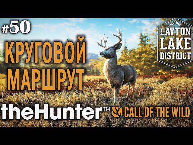 theHunter call of the wild #50  - Круговой Маршрут - Винтовка, Ружьё - Лось, Олень