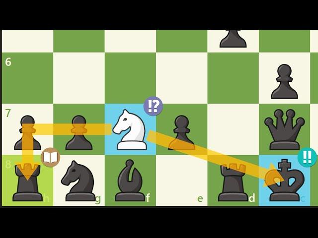 New Chess Gambit Just Discovered