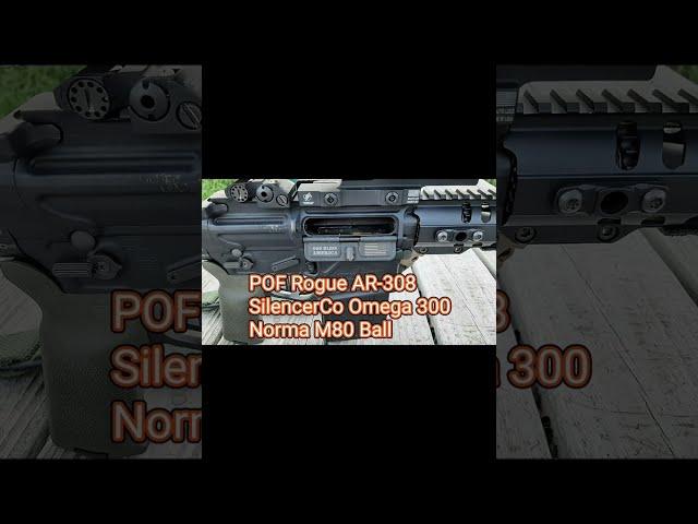 .308 Win Suppressed vs Unsuppressed (AR-10)