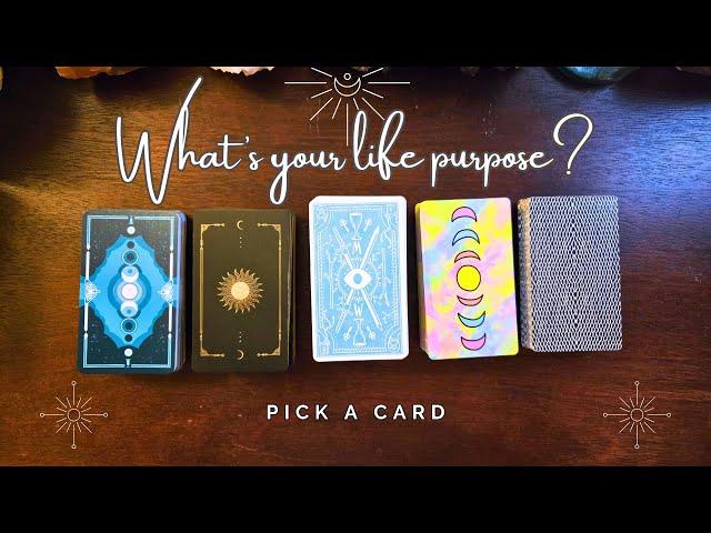 ..::  Your life purpose  ::.. pick a card ..:: timeless tarot ::..