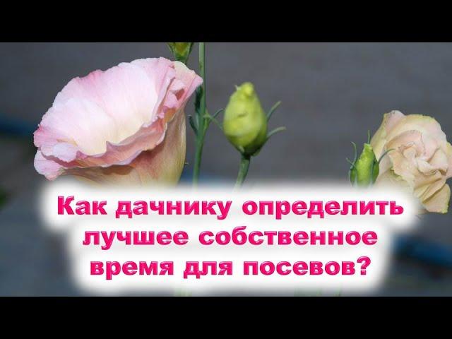 Как дачнику, огороднику определить лучшее собственное время для посева семян, посадки растений?