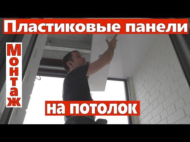 Пластиковые панели ПВХ на потолок монтаж