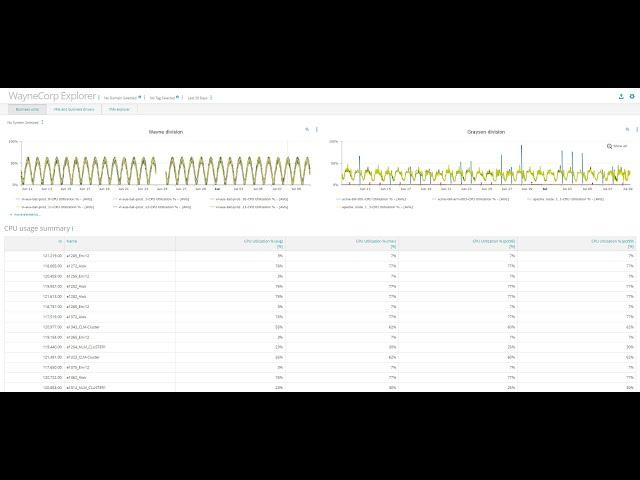 How to configure the Entity group data explorer template in BMC Helix Continuous Optimization