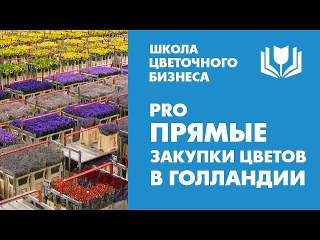 Webshop. Прямые закупки цветов в Голландии