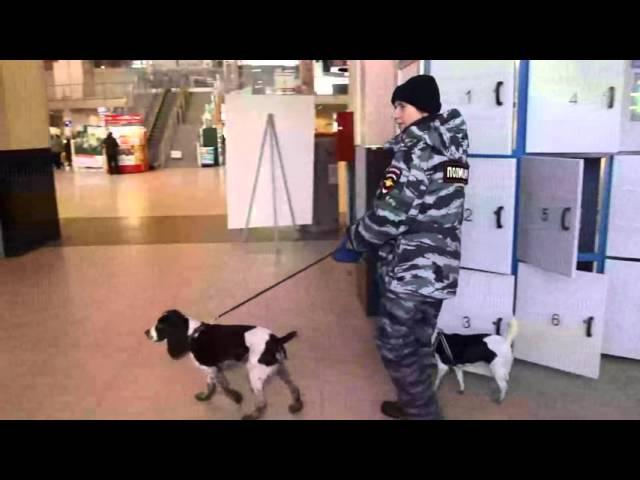 rabota po oop 13 MOV