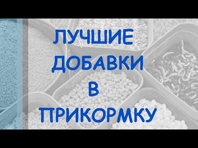 Лучшие добавки в прикормку. Топ добавок в прикормку для фидера