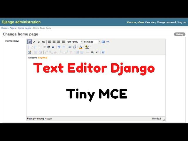 How to Use Tiny MCE editor in Django - Text Editor