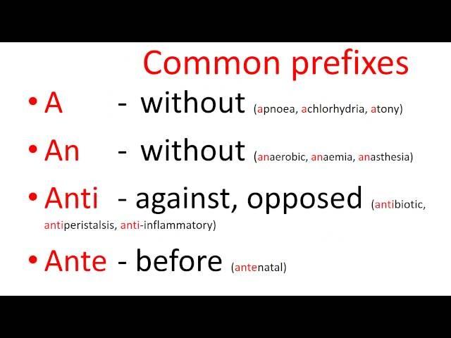 Medical terms - common prefixes