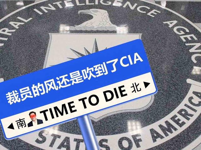 青蒜的风还是吹到了CIA——什么？CIA？！