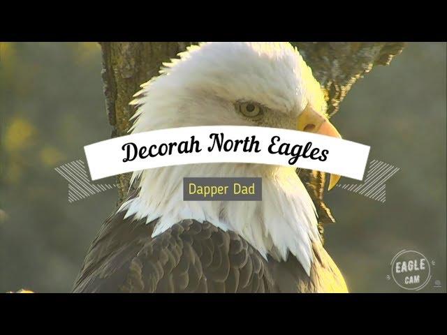 Decorah North Nest | Dapper Dad North And His Funny Faces