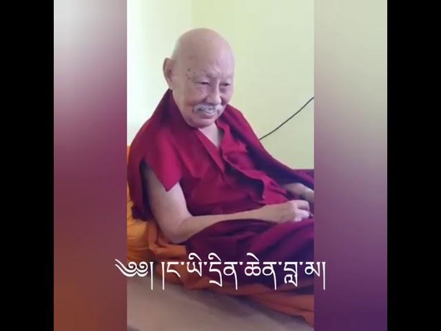 Lama khenno