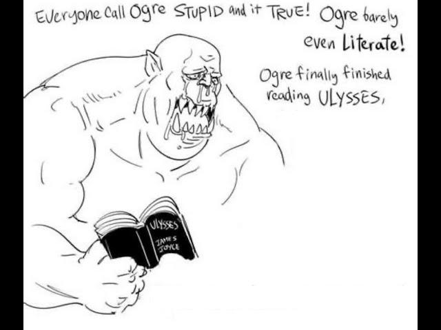 EVERYONE CALL OGRE STUPID :(