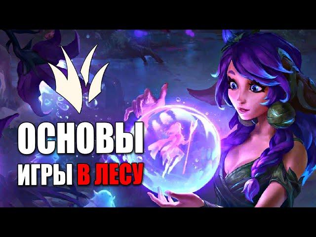 Основы игры в лесу в игре League of Legends