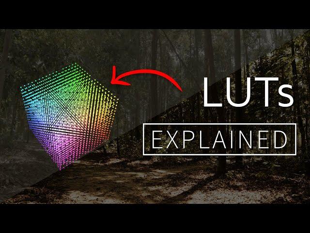 LUTs Explained! 1D vs 3D LUT?