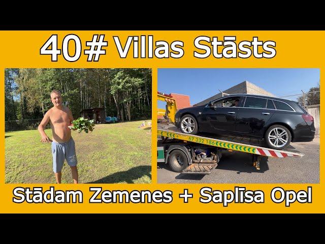 40# Stādam Zemenes - Saplīsa Opel | Villas Stāsts