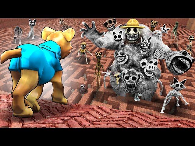 Can ZOONOMALY BOSS find me in a MAZE?! (Garry's Mod Sandbox)