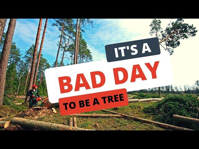 It's a Bad Day to be a Tree | "I Delete Trees" Richii Nation Ep2