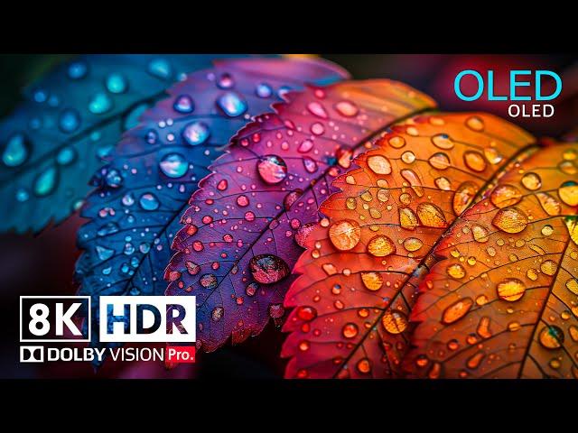 Best of 8K Video - 8K HDR ULTRA HD 120 fps - Dolby Vision