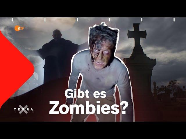 Vampire, Zombies und Geister - die wahre Geschichte | Terra X