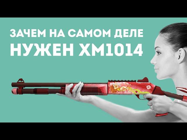 ЗАЧЕМ НУЖЕН XM1014 ИЗ CS GO В РЕАЛЬНОЙ ЖИЗНИ