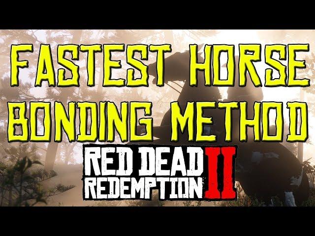FASTEST Way To HORSE Bonding Guide: Red Dead Redemption 2