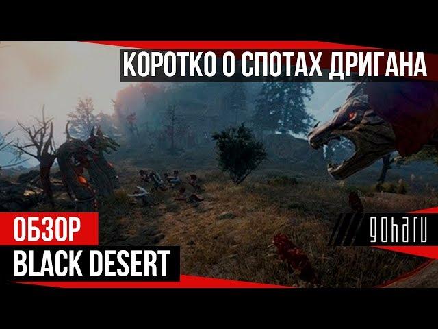 Black Desert - Коротко о спотах Дригана