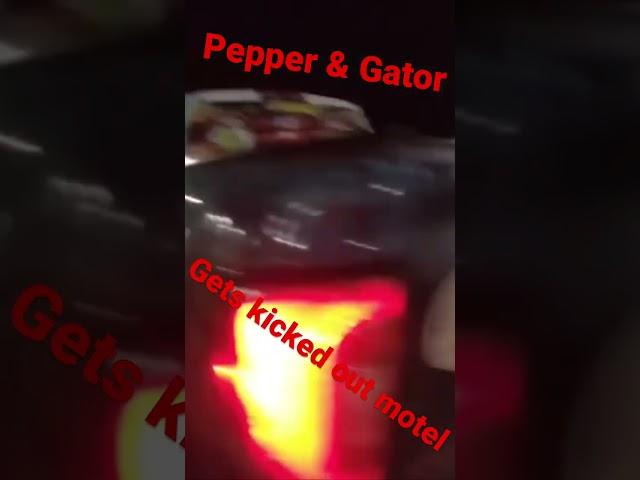 Pepper & Gator gets kicked out the motel in VA. #livingitup #makingmemories