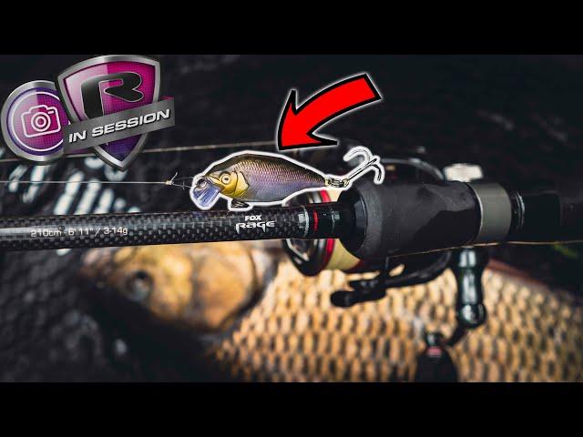 Unleash the power of small cranks | Chub Fishing in Small Rivers | Fox Rage