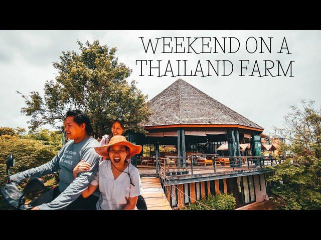 Escape to RAI RUEN ROM a weekend at an ORGANIC FARM in Chiang Rai