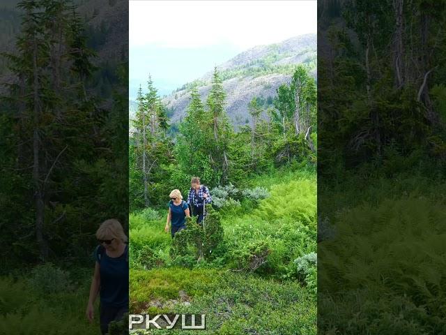 Удивительное плато Урала!