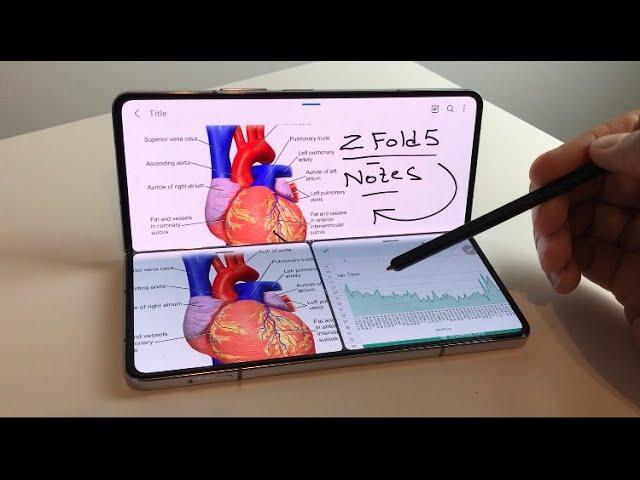 How to Take Notes on Samsung Galaxy Z Fold 5 with S Pen - 20 Powerful features for Samsung Notes