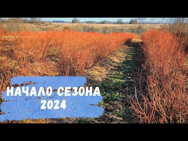 Начало сезона 2024