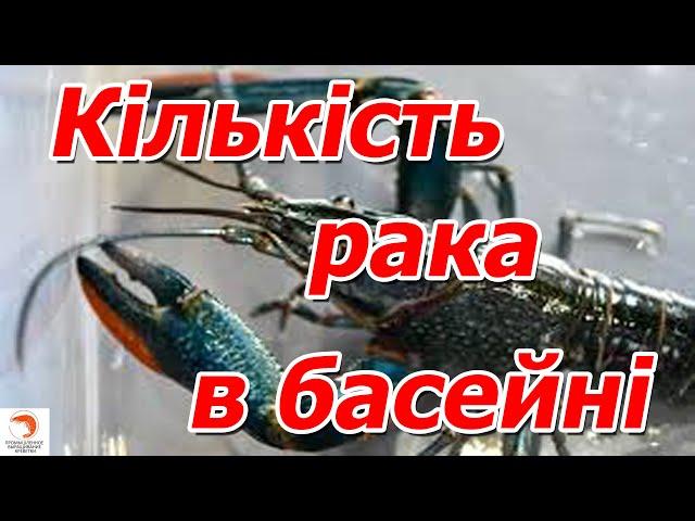 А яку кількість рака ми тримаємо на 1м.кв в великому басейні