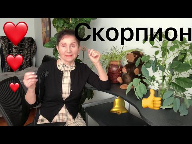 Скорпион- где встретить Любовь Скорпион - где твой Асцендент.... Скорпион набирает силу 2020