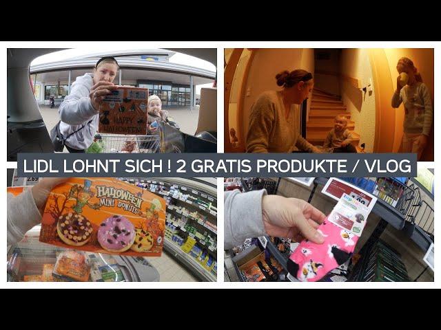 LIVE FOOD HAUL BEI LIDL / HAUSHALT LÄUFT HEUTE / ALLE HELFEN