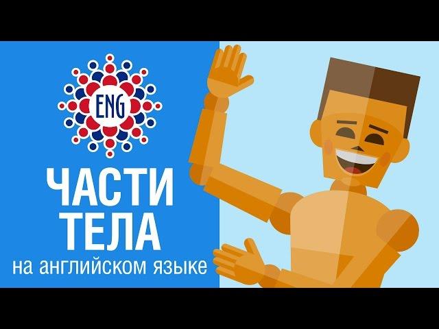 Части тела  на английском языке | Для детей и начинающих