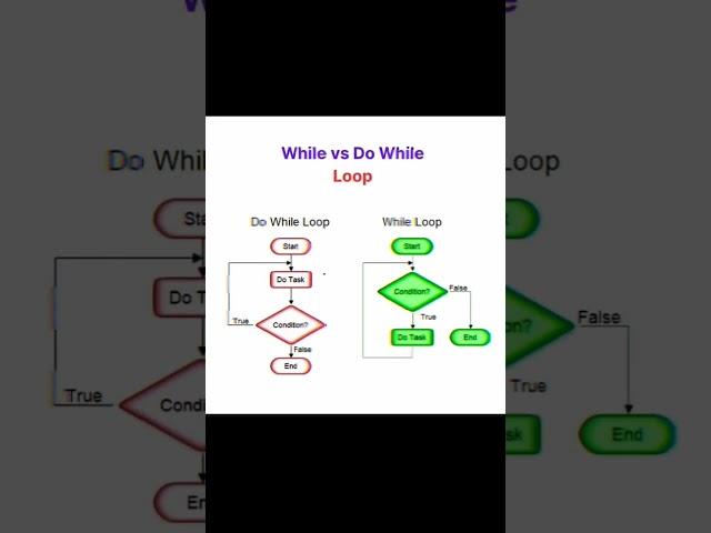 While vs Do While Loop ‍ #coding #programming #python #developer #shorts #shortsfeed #software