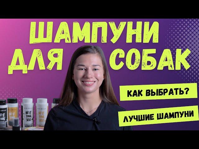 Шампунь для собак, как выбрать. Чем мыть, как мыть собаку