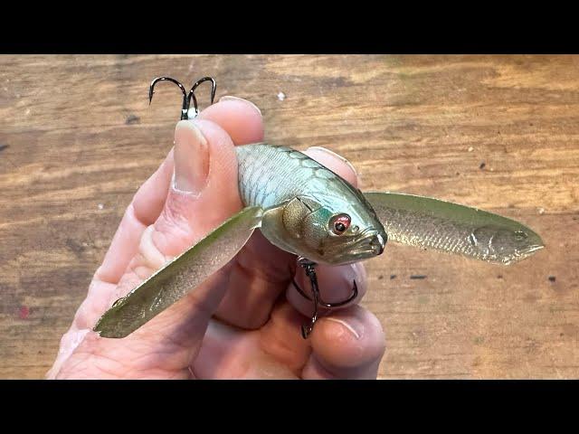 The Best Topwater Lure You’ve NEVER Fished…