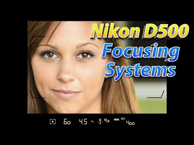 Nikon D500 Tutorial Part 2 | How To Focus Training