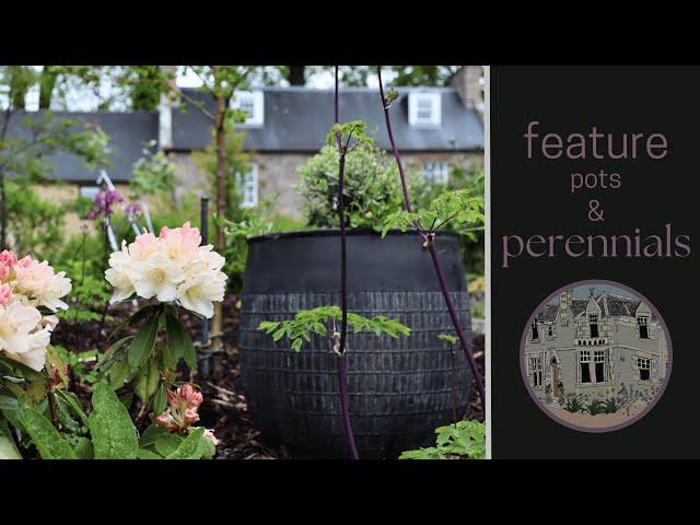 Adding Statement Pots & Perennials in our Cottage Garden | Reshaping a Flowering Cherry Tree | ASMR