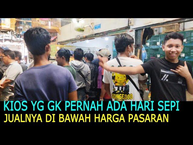 KIOS YG GK PERNAH ADA HARI SEPI JUALNYA DI BAWAH HARGA PASARAN DI PASAR BURUNG PRAMUKA HARI INI