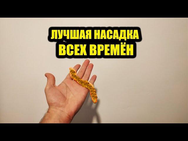 Лучшая Насадка Всех Времён! Секретный рецепт насадки для рыбалки своими руками, супер насадка